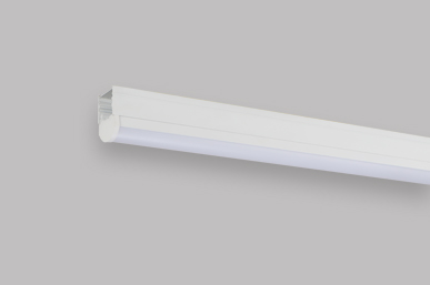 Trunking Light